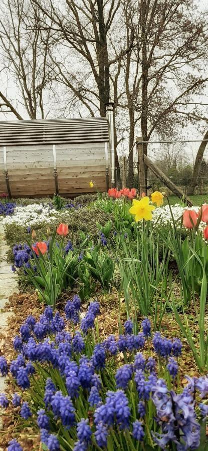 B & B Victors Hof, Met Zwemvijver In Landelijke Setting Lievegem Εξωτερικό φωτογραφία