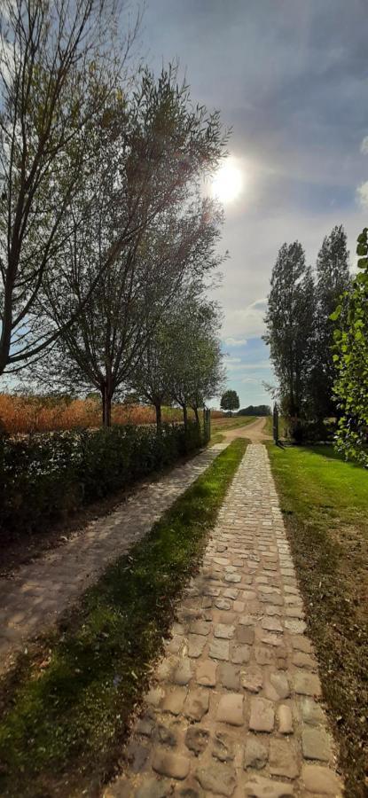 B & B Victors Hof, Met Zwemvijver In Landelijke Setting Lievegem Εξωτερικό φωτογραφία