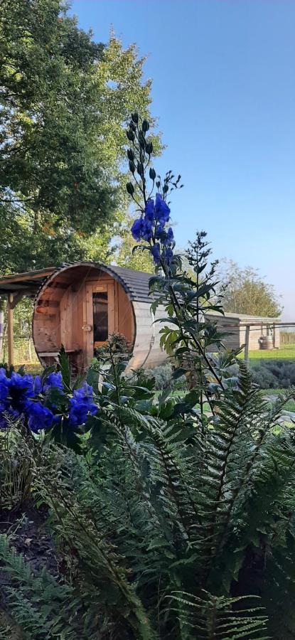 B & B Victors Hof, Met Zwemvijver In Landelijke Setting Lievegem Εξωτερικό φωτογραφία